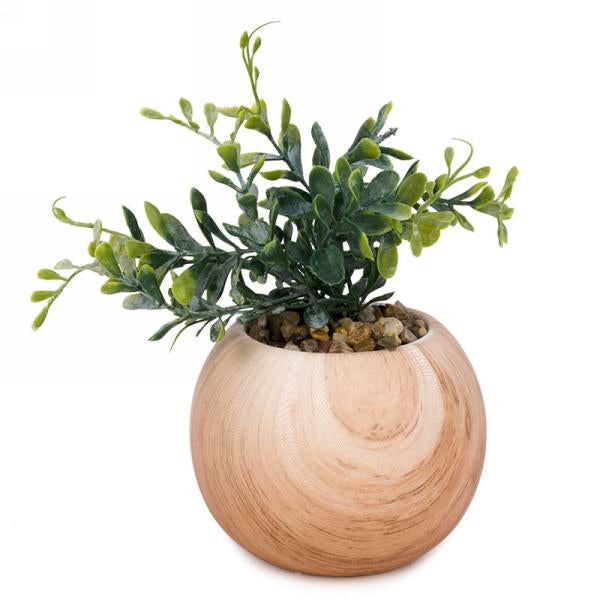 Natural Potted Plant