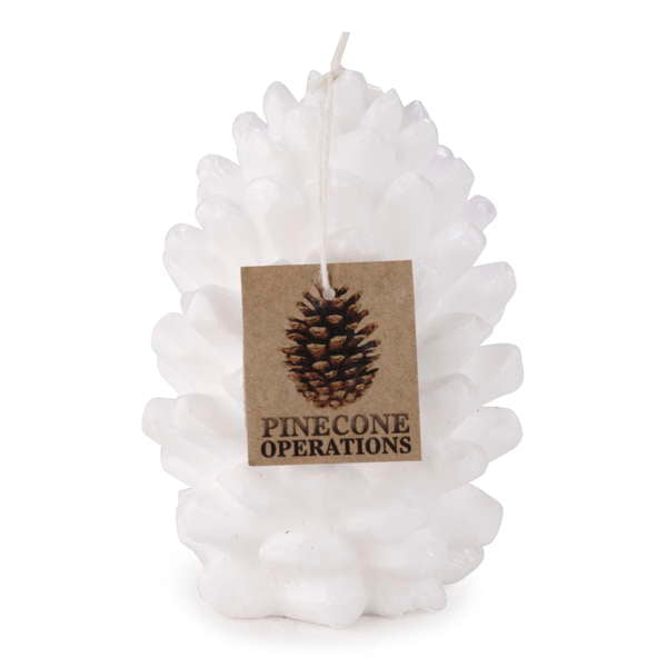 Pinecone Candle