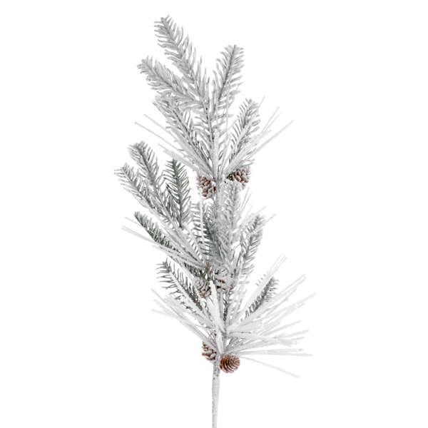 Frosted Pine Branch