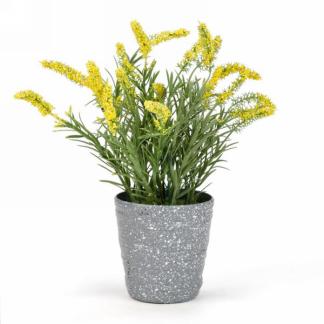 Yellow Flowers in Grey Pot
