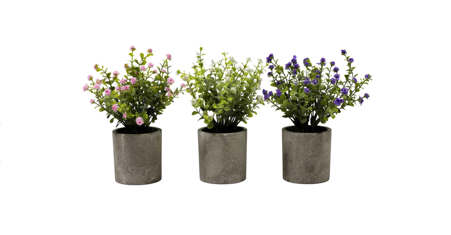 Potted Floral Plant