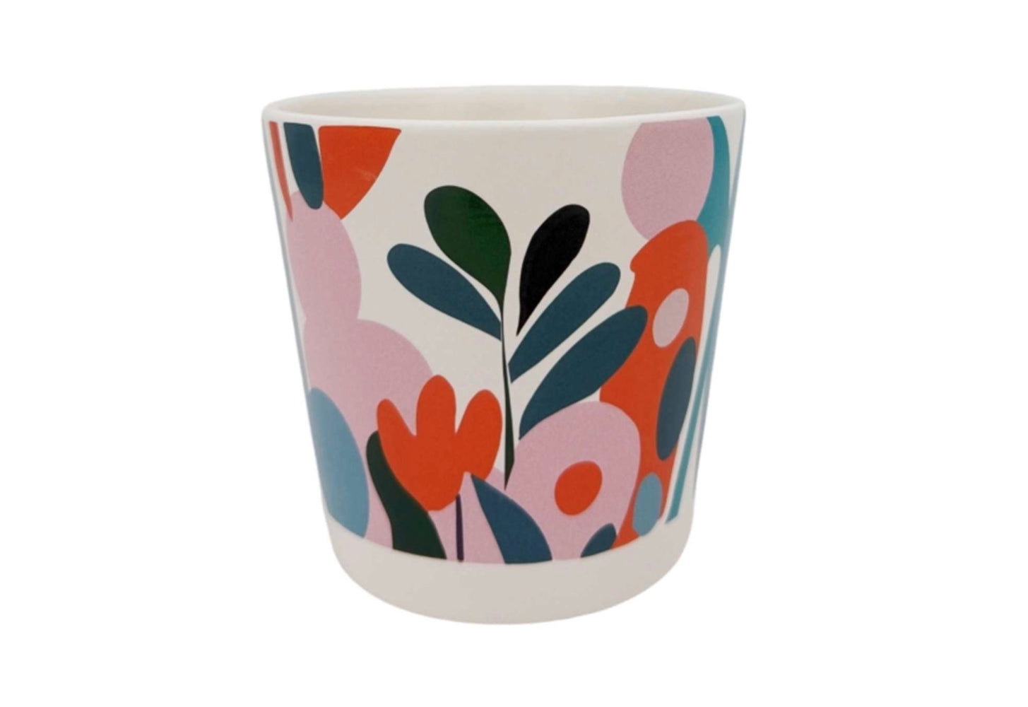 Colour Fern Pot
