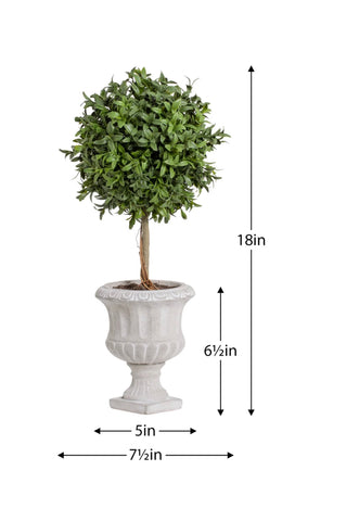 Arabella Potted Topiary
