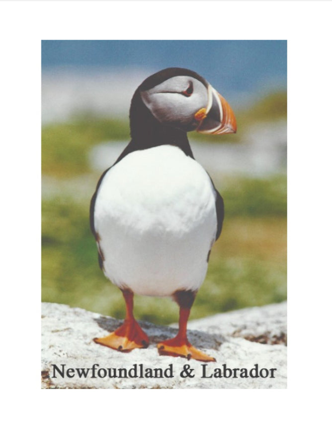Puffin Magnet - 2 Styles