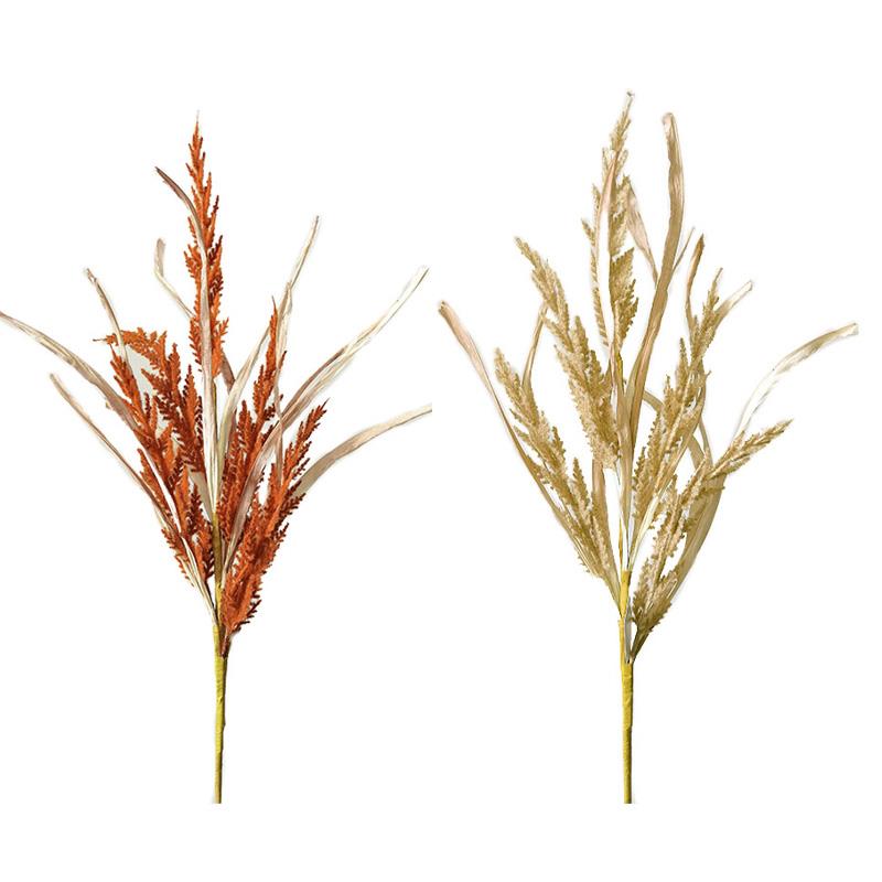 Fall Picks
