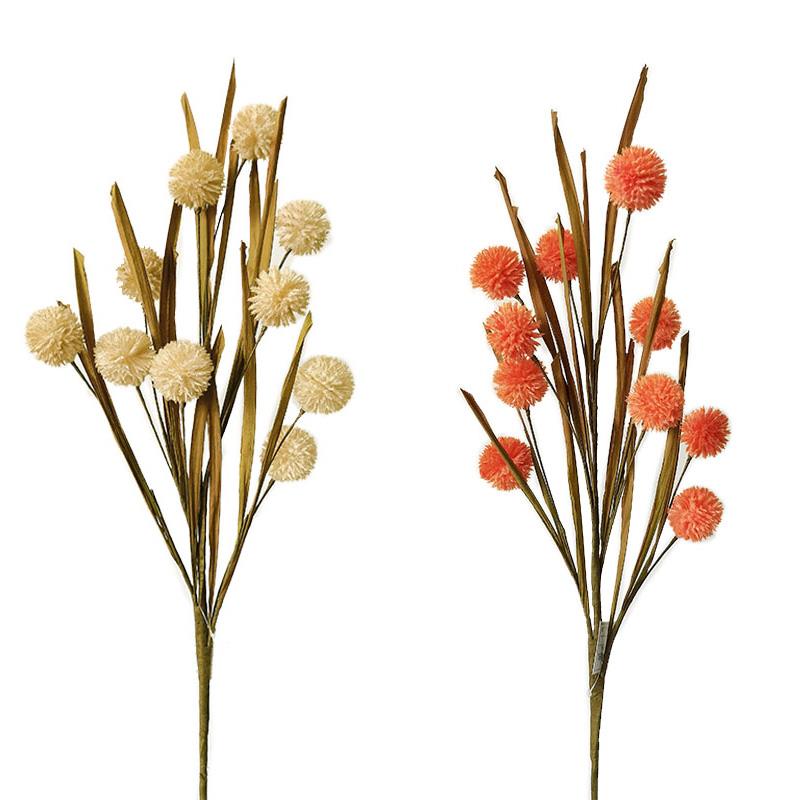 Fall Picks