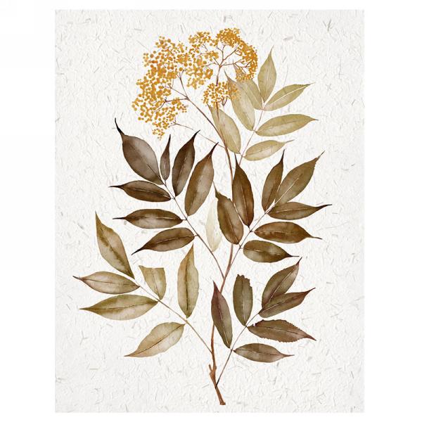 Foliage Canvas Print