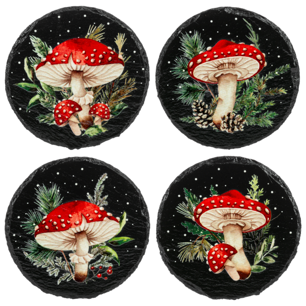 Mushroom Coaster