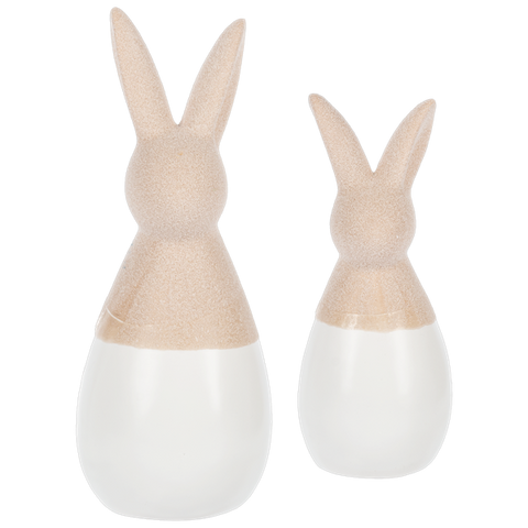 Two Tone Rabbit