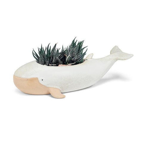 Long Whale Planter