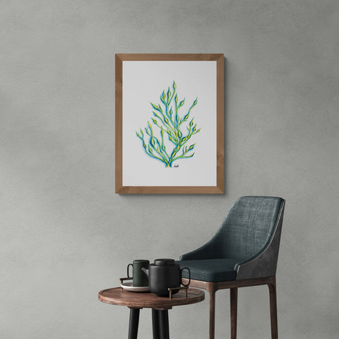Rockweed Haze Print
