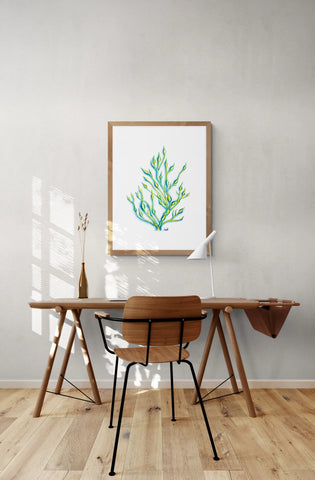 Rockweed Haze Print