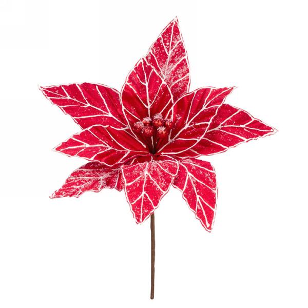 Red & White Poinsettia