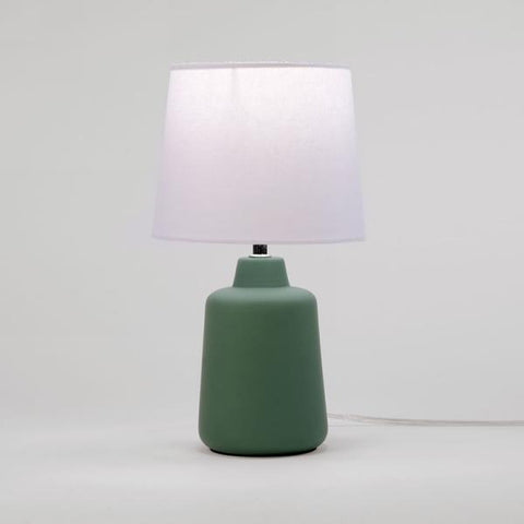 Moss Lamp