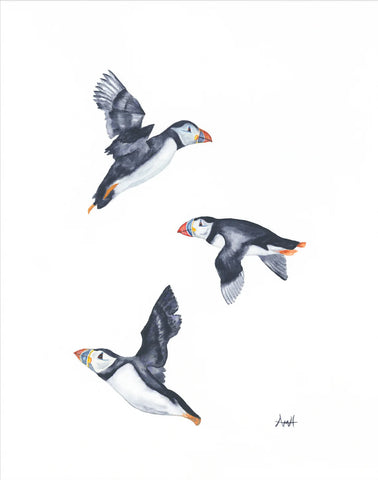 “In This Together” Atlantic Flying Puffin Art Print