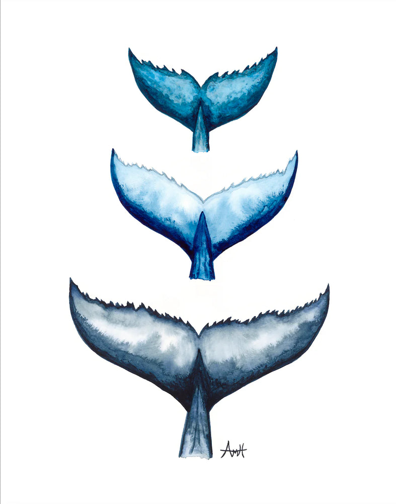 Whale Tail Trio Art Print