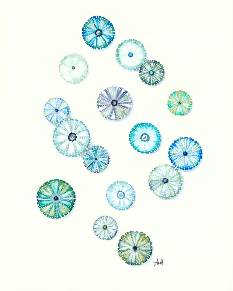 Sea Urchin Energy Art Print