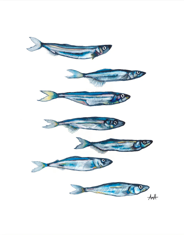 Capelin Row Art Print