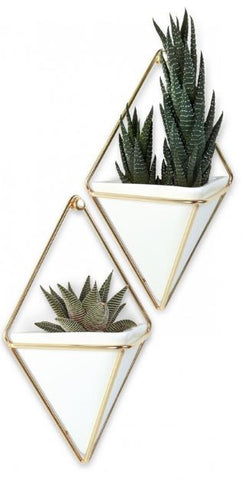 Trigg Wall Vessels - Madison Mackenzie Home