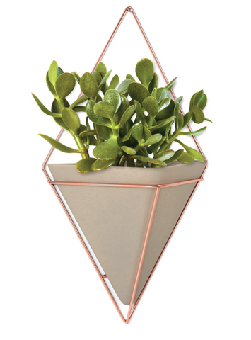 Trigg Wall Vessels - Madison Mackenzie Home