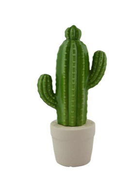 Green Cactus
