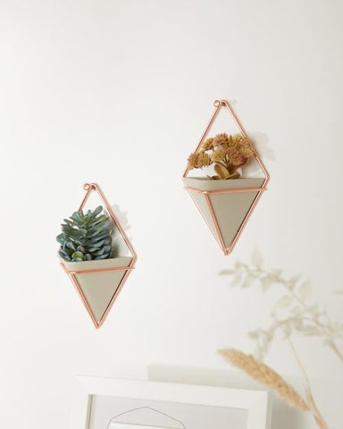 Trigg Wall Vessels