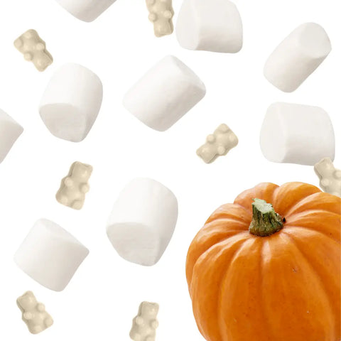 Happy Wax Pouch Pack- Toasted Pumpkin Marshmallow
