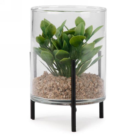 Plant in glass jar on metal base
