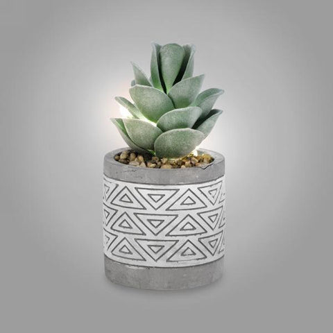 Led Potted Succulent