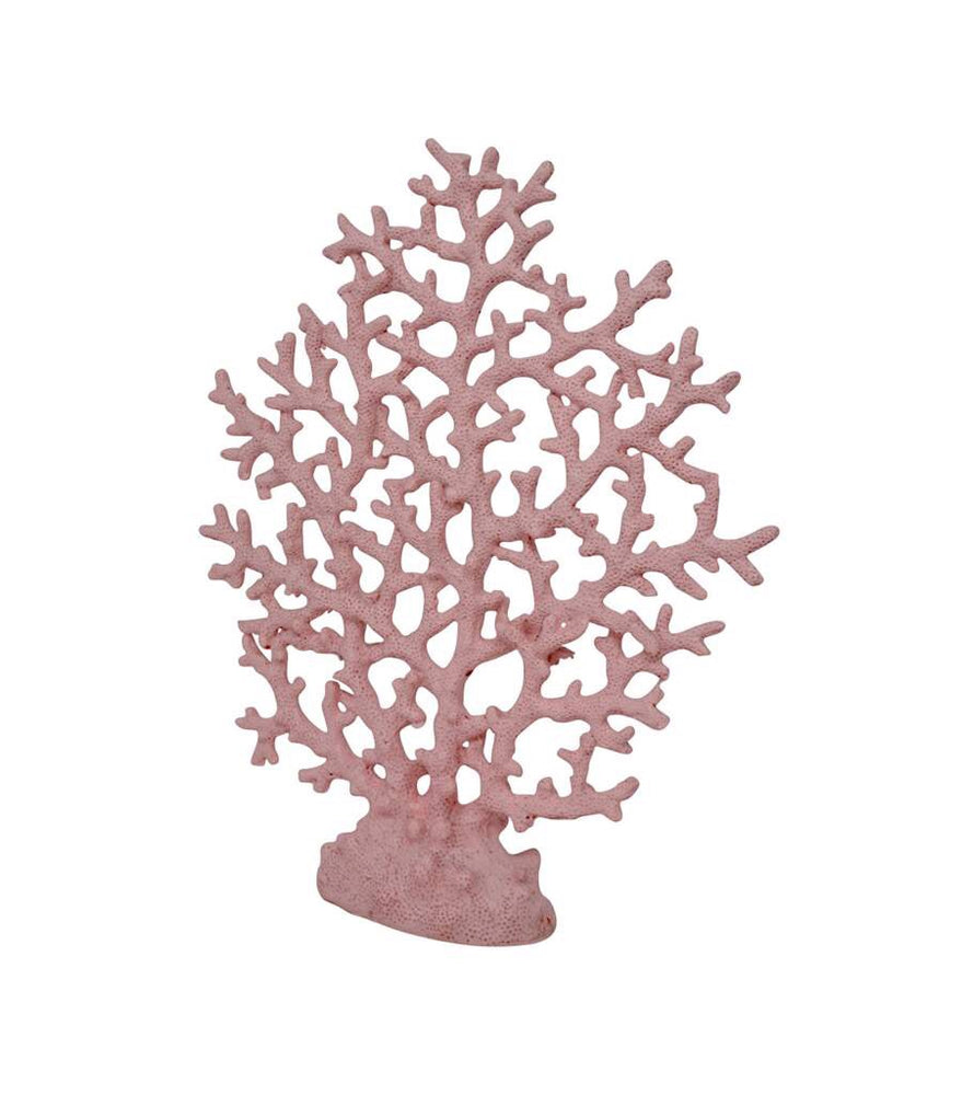 Pink Lace Coral