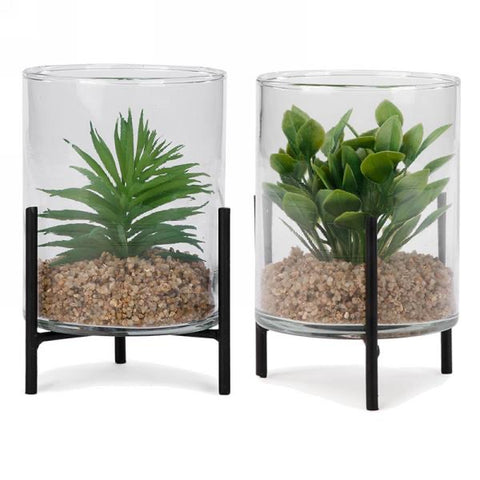 Plant in glass jar on metal base